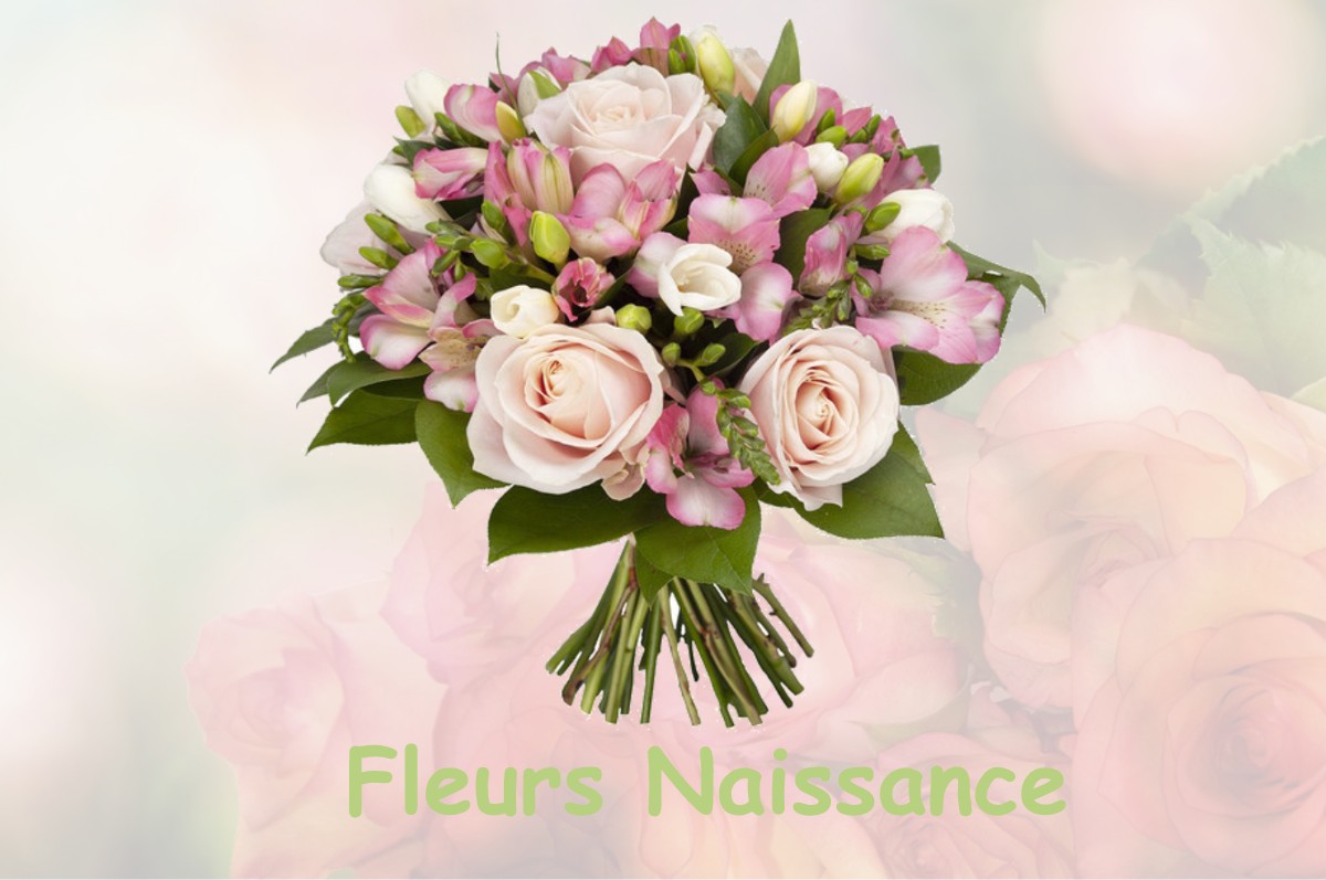 fleurs naissance BOUGE-CHAMBALUD