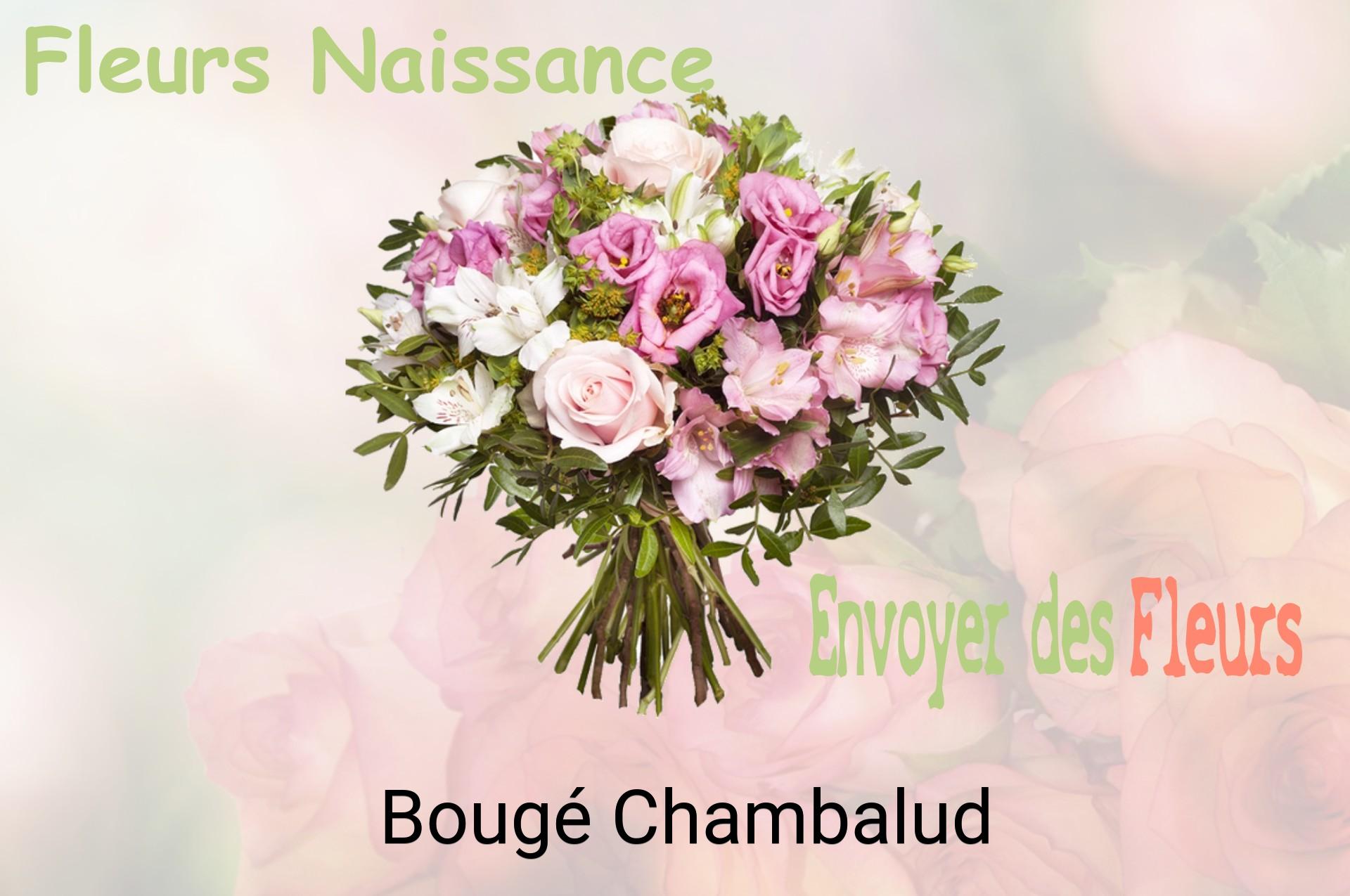 Bouquet de fleurs de naissance livré à Bougé-Chambalud